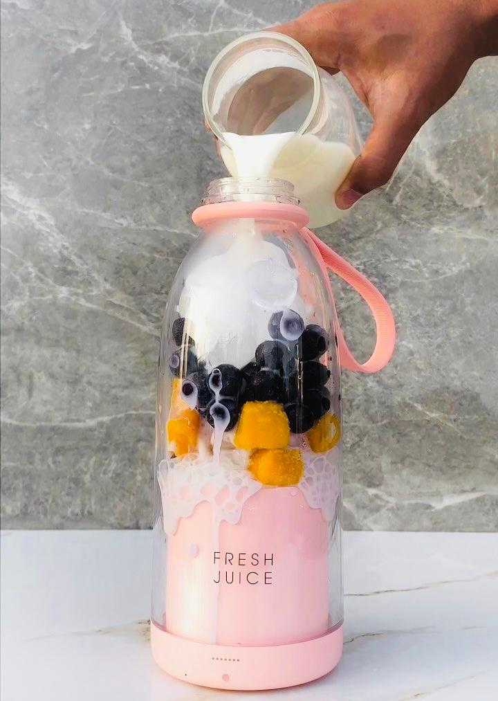 Homeilya™Portable mini juicer blender